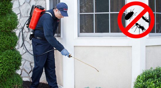 Gülbahçe Hamam Böceği İlaçlama böcek ilaçlama ve haşere kontrolü — ilaclama-tr.com